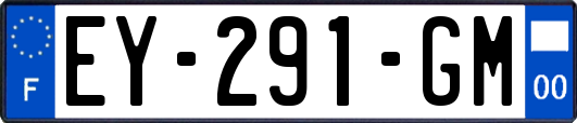 EY-291-GM