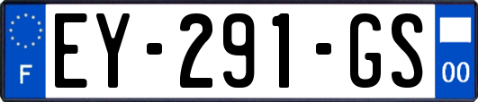 EY-291-GS