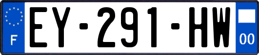 EY-291-HW