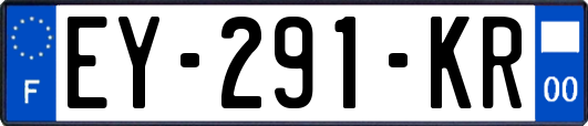 EY-291-KR