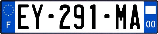 EY-291-MA