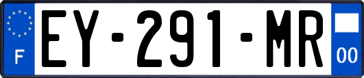EY-291-MR