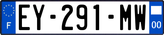 EY-291-MW