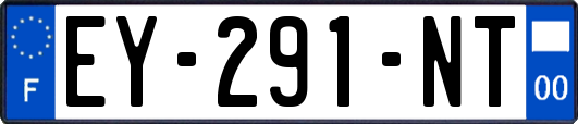 EY-291-NT