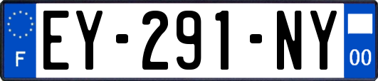 EY-291-NY