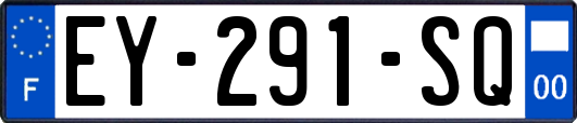 EY-291-SQ