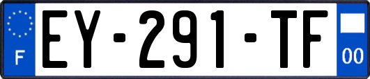 EY-291-TF