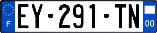 EY-291-TN