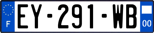 EY-291-WB