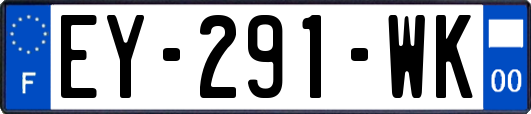 EY-291-WK
