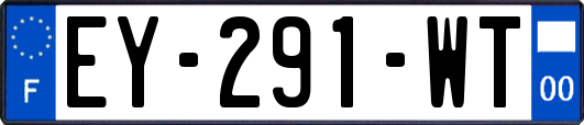 EY-291-WT