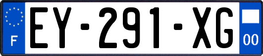 EY-291-XG
