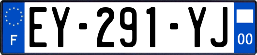 EY-291-YJ