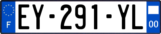 EY-291-YL