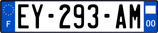 EY-293-AM