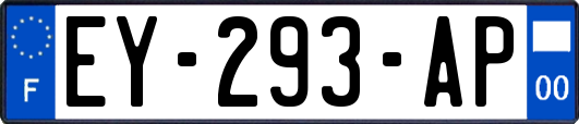 EY-293-AP