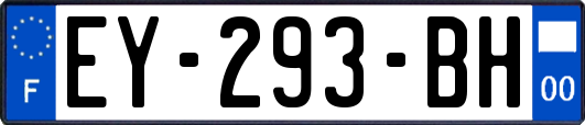 EY-293-BH