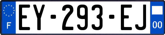 EY-293-EJ