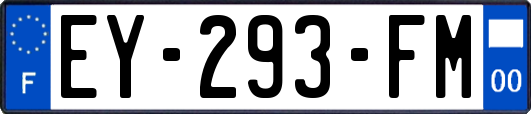 EY-293-FM