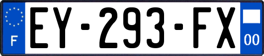 EY-293-FX
