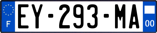 EY-293-MA