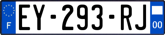 EY-293-RJ