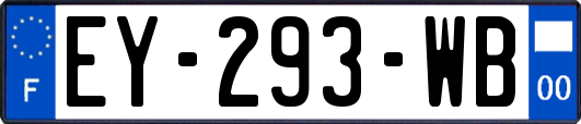 EY-293-WB
