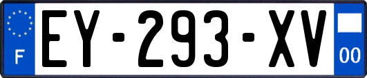 EY-293-XV