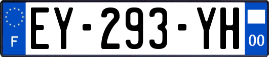 EY-293-YH