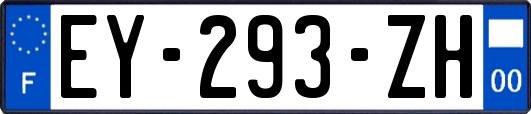 EY-293-ZH