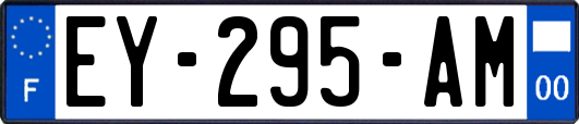 EY-295-AM