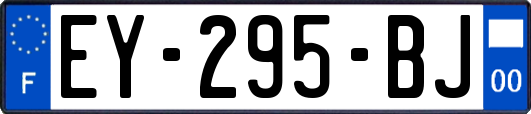 EY-295-BJ