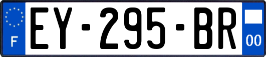 EY-295-BR