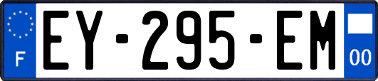 EY-295-EM