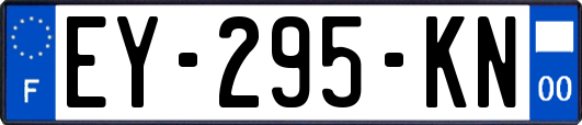 EY-295-KN