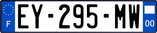 EY-295-MW