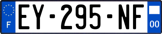 EY-295-NF