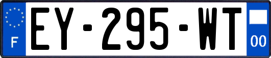 EY-295-WT