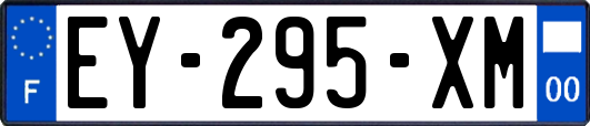 EY-295-XM