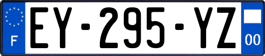 EY-295-YZ
