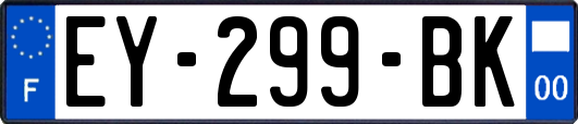 EY-299-BK