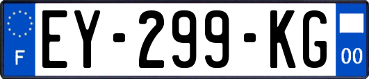 EY-299-KG