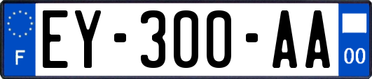 EY-300-AA