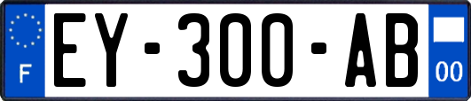 EY-300-AB