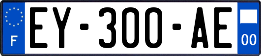 EY-300-AE