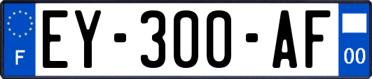 EY-300-AF