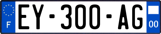 EY-300-AG