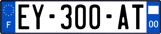 EY-300-AT