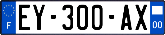 EY-300-AX