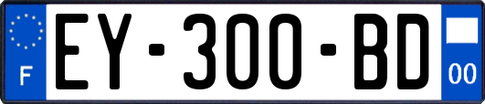 EY-300-BD